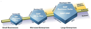 sap_business_solutions