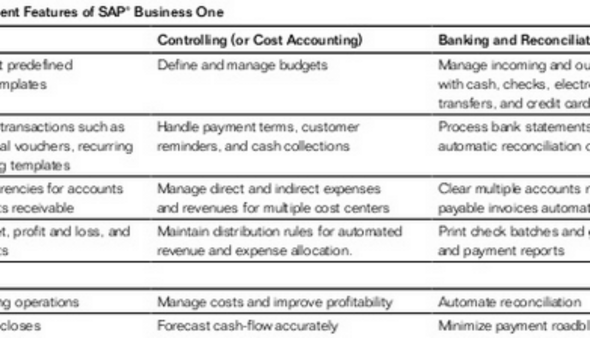 financial_sapbusinessone